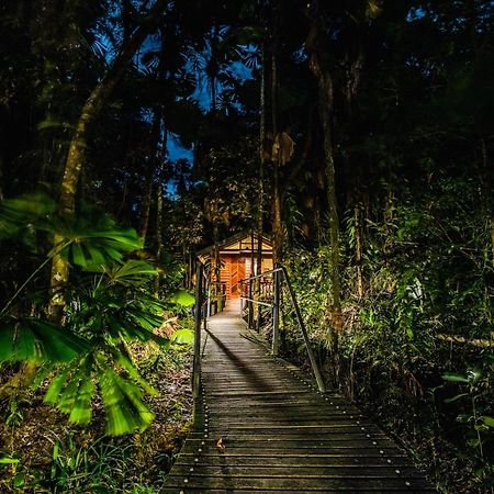 Daintree Wilderness Lodge Eksteriør billede