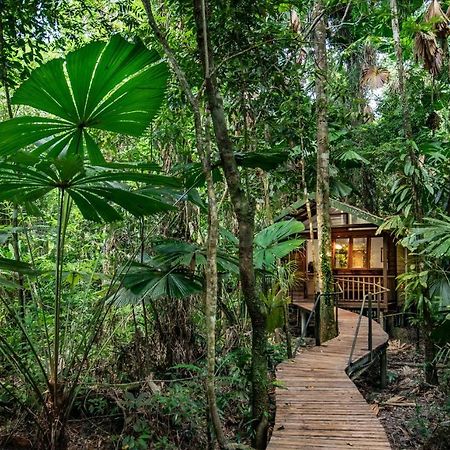 Daintree Wilderness Lodge Eksteriør billede