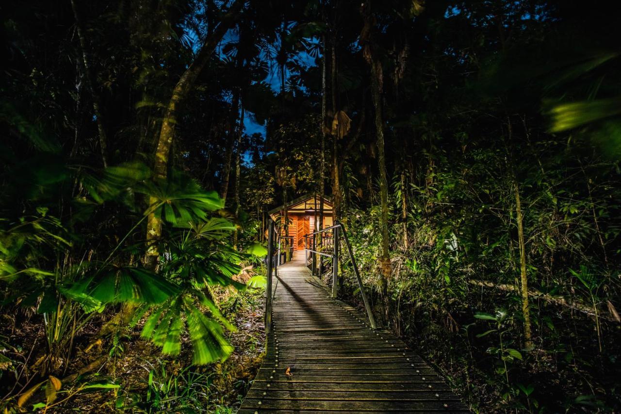 Daintree Wilderness Lodge Eksteriør billede