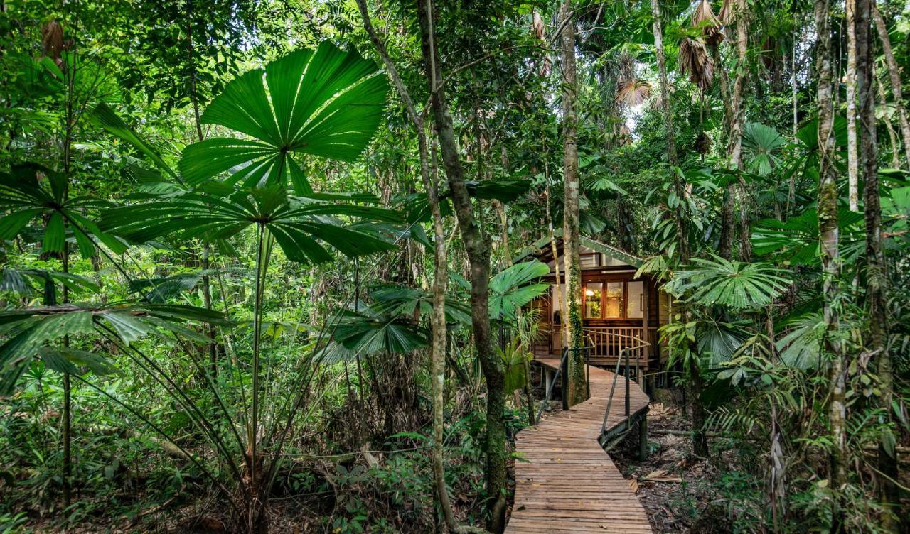Daintree Wilderness Lodge Eksteriør billede