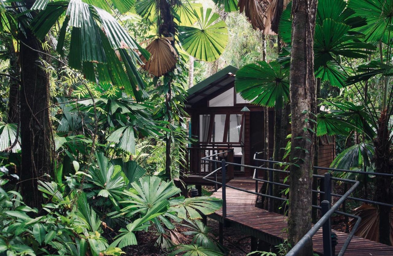 Daintree Wilderness Lodge Eksteriør billede