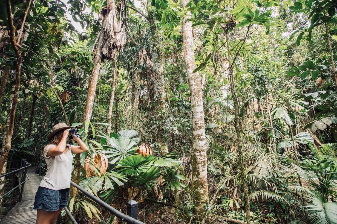 Daintree Wilderness Lodge Eksteriør billede