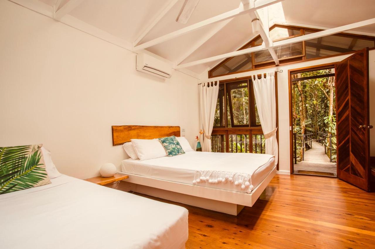 Daintree Wilderness Lodge Eksteriør billede
