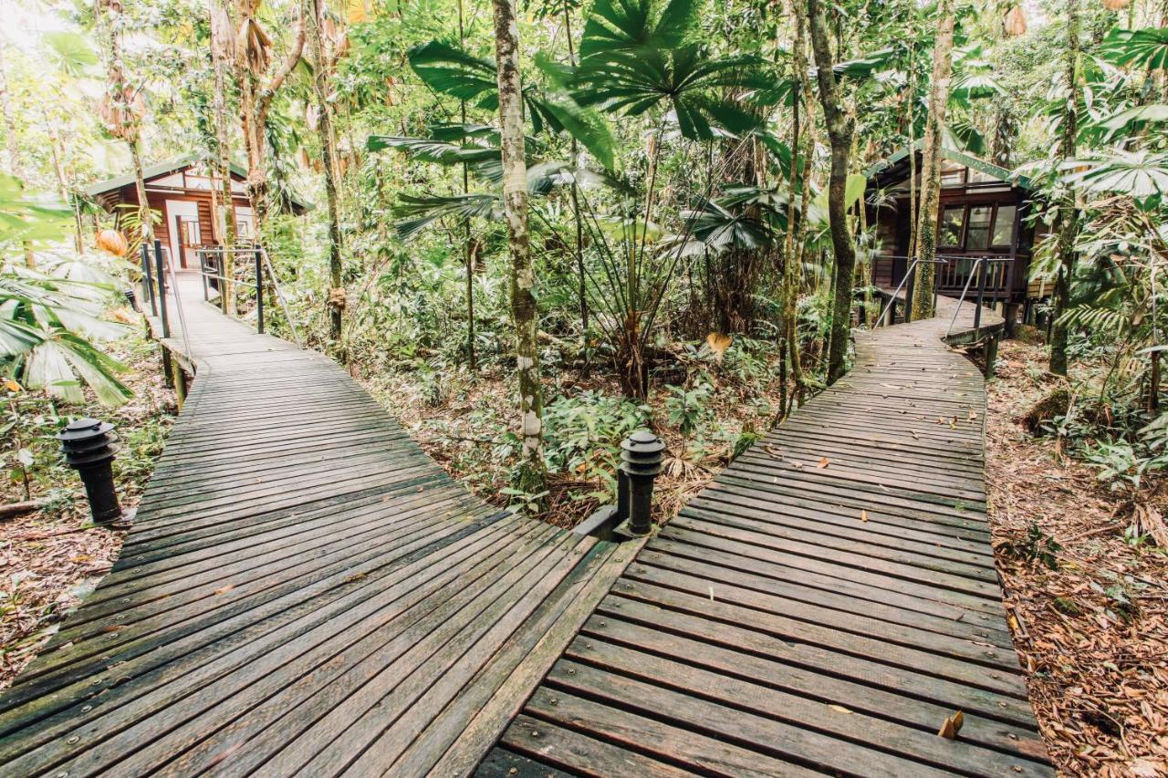 Daintree Wilderness Lodge Eksteriør billede