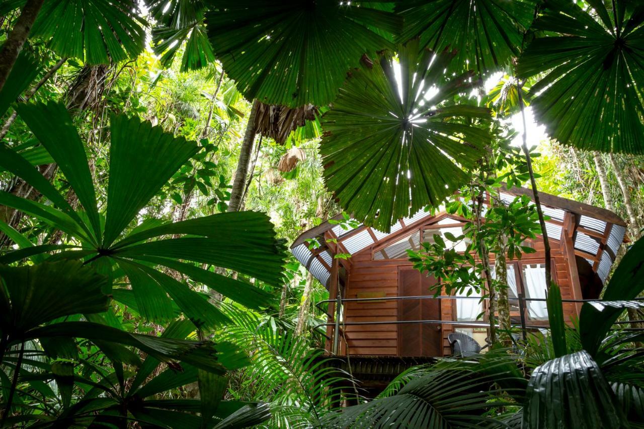 Daintree Wilderness Lodge Eksteriør billede